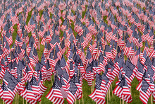 Memorial Day Display Of 37,000 United States Flags Commemorating Fallen Heroes, In Our Oldest Park.; Boston Common, Boston, Massachusetts.