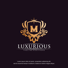 M Initial Letter Luxury Ornament Gold Monogram Logo Template Vector Art.