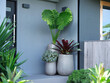 © Austockphoto - Grey modern looking house with multiple plants on its entrance