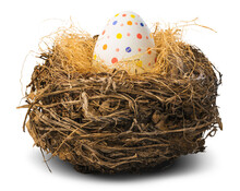 Colorfully Painted Easter Egg In The Nest
