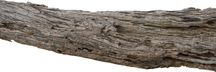 Dry branch tree naturally.