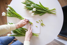 Woman Trims The Roots Of Flowers So That They Stand Longer In A Vase. How To Prolong The Life Of A Flower. Floristics. Caring For Cut Flowers At Home