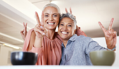 Poster - Senior women, bonding or peace sign in house or home living room for social media, profile picture or cool memory capture. Portrait, happy smile or retirement elderly friends and emoji hands gesture