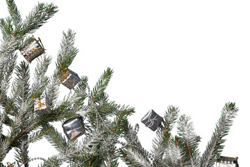 Sticker - New Year and Christmas decorations, Christmas fir branches