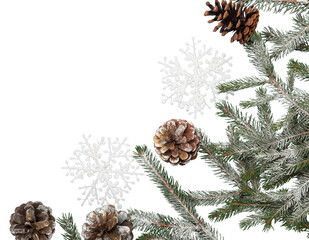  New Year and Christmas decorations, Christmas fir branches