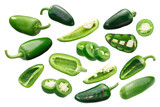 Fototapeta  - Jalapeno chile peppers (Capsicum annuum fruits), whole, sliced and chopped, grilled, rings and quarters isolated png