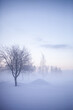 Leinwandbild Motiv Winter wonderland in Finland
