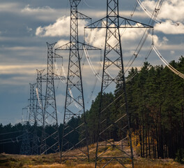 Wall Mural - High voltage electricity power line towers near forest. Cloudy sky.  Transmission towers