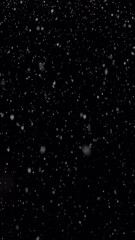 Wall Mural - looping animated christmas background of falling snow isolated on black background in vertical forma