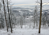 Fototapeta  - Biała, śnieżna zima na górskim szlaku w Beskidzie Śląskim