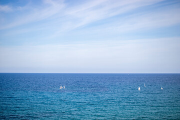 Wall Mural - sailboat in the sea