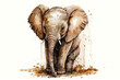 Aquarellzeichnung eines süßen Baby Elefanten, Illustration