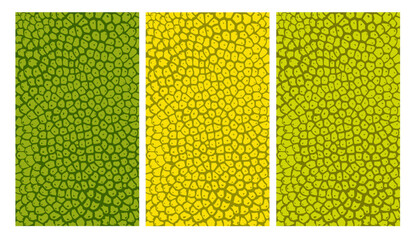 Poster - jackfruit texture for pattern, vector art