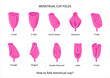 © Maryana - Pink menstrual cup folding methods. How to fold menstrual cup. Zero waste concept. Vector illustration in flat cartoon style