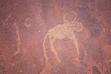 African Rock Art Engravings Of Animals