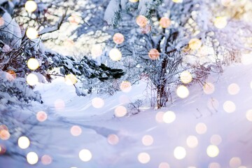 Canvas Print - Christmas tree in forest in white snow