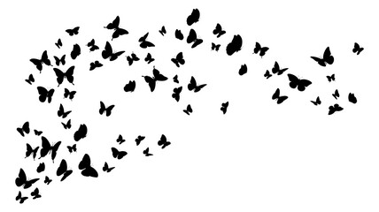 Wall Mural - Flying black silhouettes of butterflies. Design element 
