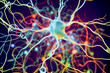 Neurons, brain cells, neural network concept, generative ai illustration
