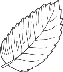 Poster - leaf sketch. tree foliage drawing. plant symbol