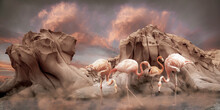 Pink Flamingoes Stand In Shallow Water In Front Of Rugged Rock Formations With A Dramatic Sky Of Glowing Pink Clouds And Mist Hovering Over The Water, Composite Image