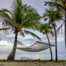 Hammock Between Palm Trees On The Beach At Sunset; Bay Islands Department, Honduras
