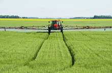 A High Clearance Sprayer Gives A Ground Chemical Application Of Fungicide To Mid-growth Wheat, Near Dugald; Manitoba, Canada