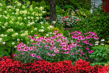 Landscaped Flower Garden In Bloom In A Yard; Hudson, Quebec, Canada