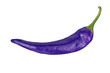 Purple chili pepper on transparent background closeup.