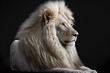  a white lion with a long mane and yellow eyes sitting down on a black background with a black background. Generative AI