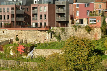 Vieilles bâtisses parfois avec ajouts modernes dominant les vignes en terrasses au centre historique de Thuin en Hainaut 