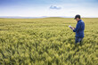© Designpics - Farmer standing in a wheat field using a tablet and inspecting the yield; Alberta, Canada