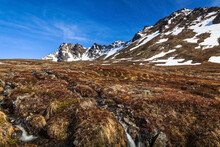 Stream Through Tundra Field 'The Ballpark' Under Blue Sky. O'Malley Peak And False Peak Are In The Background. Chugach State Park, South-central Alaska In Spring; Alaska, United States Of America