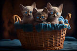 Fototapeta Koty - Kittens In A Basket.  Generative AI.