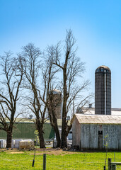 Wall Mural - Amish country farm barn field agriculture in Lancaster, PA US