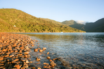 Wall Mural - Stony foreshore in Marlborough Sounds bay at sunrise.