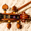 Violinen-Schnecke