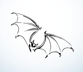 Wall Mural - The bat is flying. Vector drawing