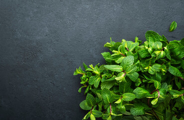 Wall Mural - Fresh mint or peppermint on dark background. Medicinal plant, close-up, top view