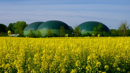 Wall Mural - Biogasanlage und Rapsfeld