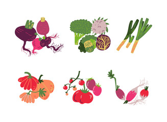 Poster - Ripe Vegetables and Organic Agricultural Crop Vector Set