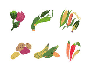 Poster - Ripe Vegetables and Organic Agricultural Crop Vector Set