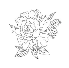Wall Mural - Vector isolated one single lush peony flower with leaves  colorless black and white contour line easy drawing