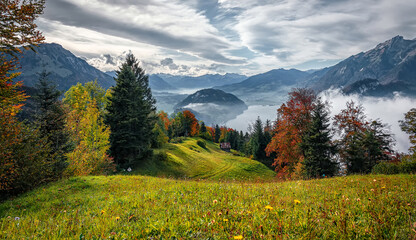 Fototapete - Idyllic mountain landscape in the Swiss Alps with blooming meadows, rocky mountains and calm lake in sunny day. Wonderful springtime landscape in mountains. Amazing nature scenery of Switzerland
