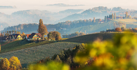 Poster - Colorful autumn landscape in the mountains with Grape hills and morning fog glowing by sun. Gamlitz, Austria, Europe. Awesome nature Background. Concept ideal resting place