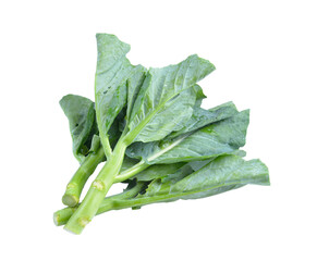 Sticker - chinese broccoli  on  transparent png