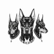 The dog is a Doberman. Dog with a spiked collar and chain. Isolated on background. Cartoon flat vector illustration