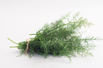 Wall Mural - Fresh fennel in white background