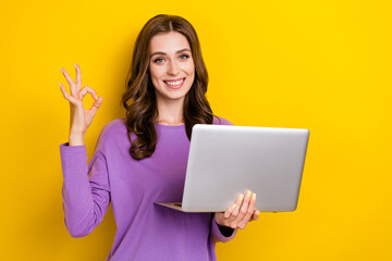 Poster - Photo of cheerful nice lady use netbook demonstrate okey symbol isolated on yellow color background