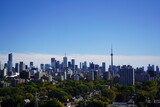 Fototapeta Miasto - Toronto Skyline