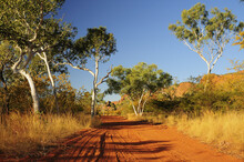 Road In Purnululu National Park, Kimberley, Western Australia, Australia